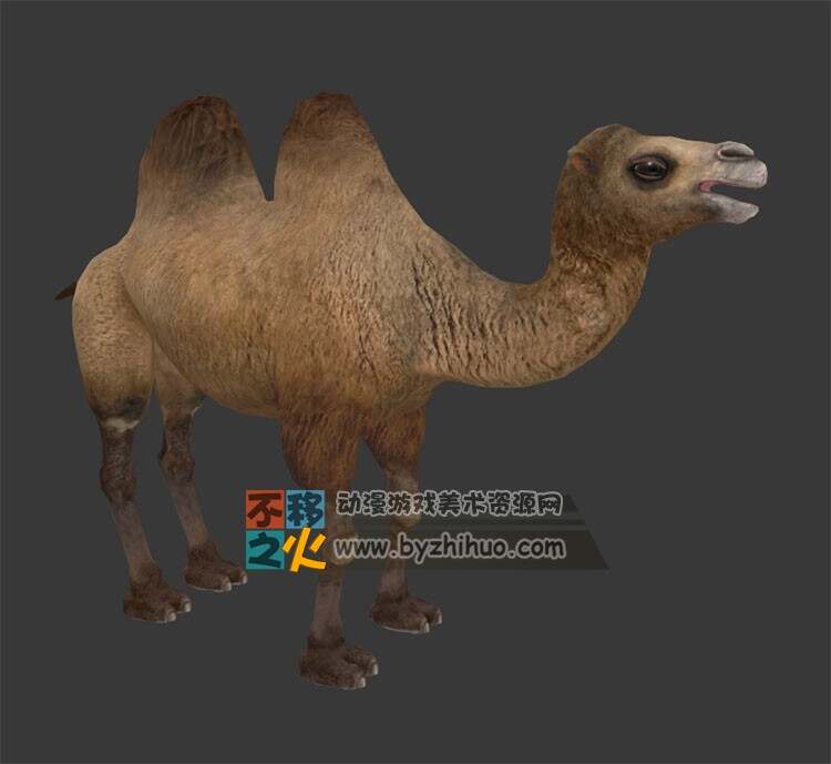 动物园之骆驼 Max模型 四边面