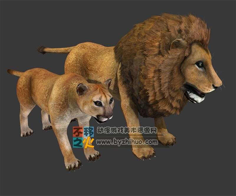 动物园之雄狮和母狮 Max模型 四边面
