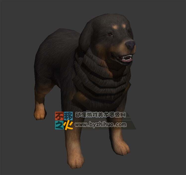 中华田园犬 小土狗 Max模型