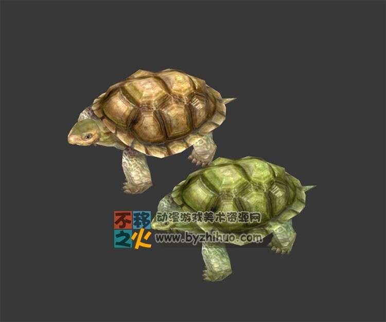 两只海龟 Max模型