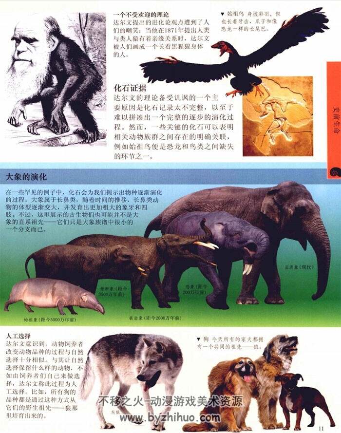 儿童恐龙百科全书 恐龙图鉴