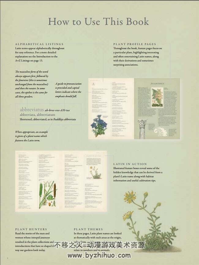 LATIN for GARDENERS 植物图片参考素材