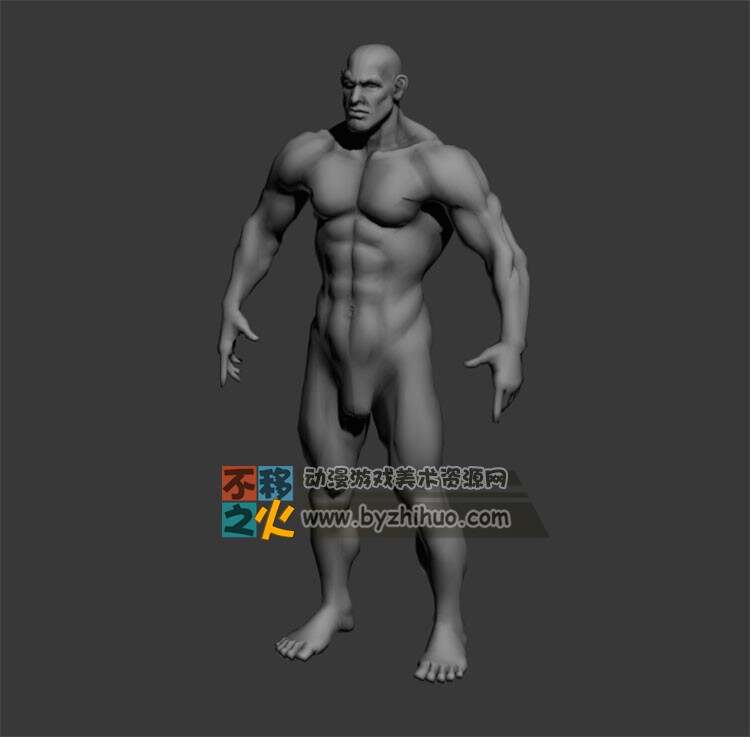 健美肌肉男 Max模型 四边面
