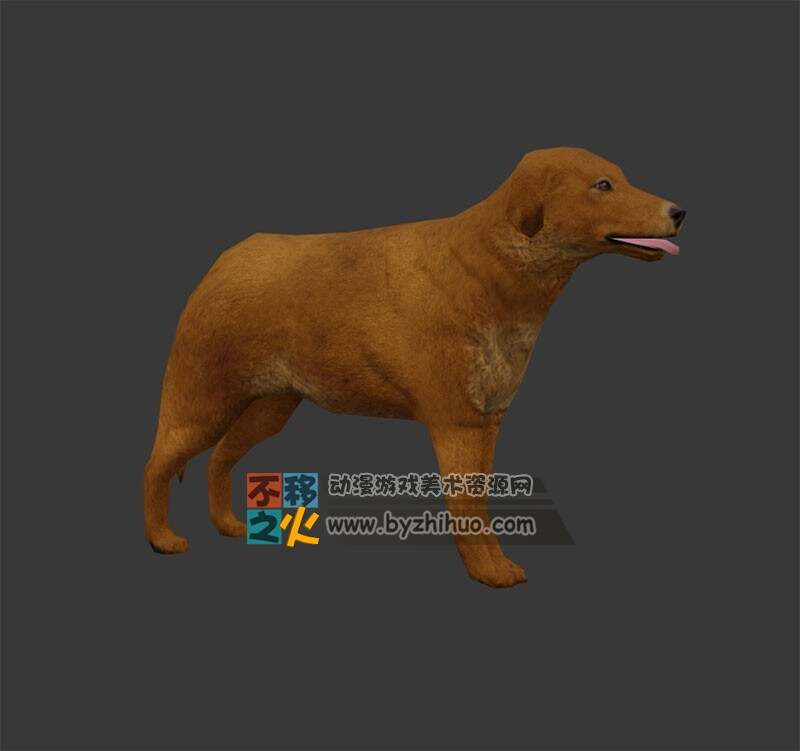 一条黄狗土狗田园犬模型
