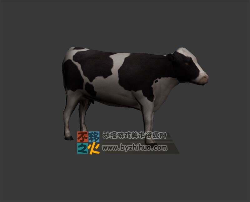 黑白色的奶牛模型
