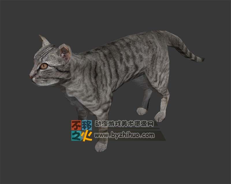一只虎纹猫咪模型