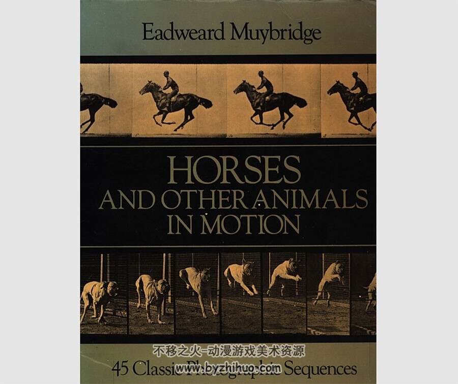 马和其他动物运动规律详尽解析