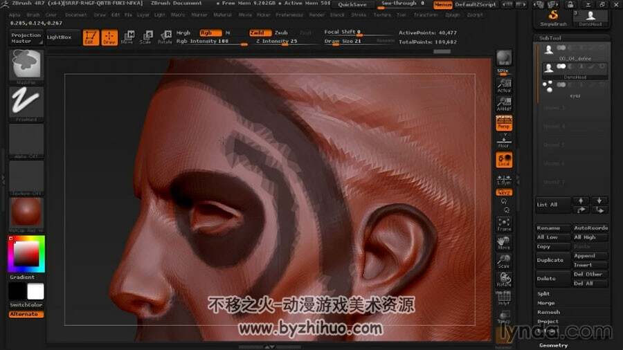 ZBrush 人物头部4R7自动拓扑技术视频教程