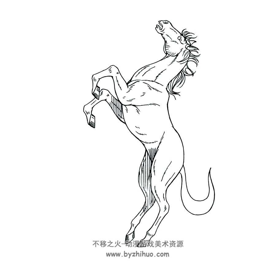 奔跑的马的画法图片