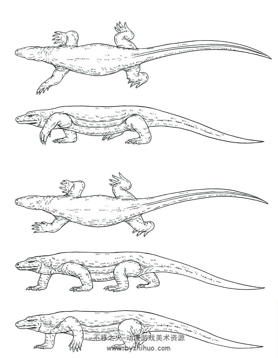 兔子 鸟 蜥蜴动作线稿图集分享 44P