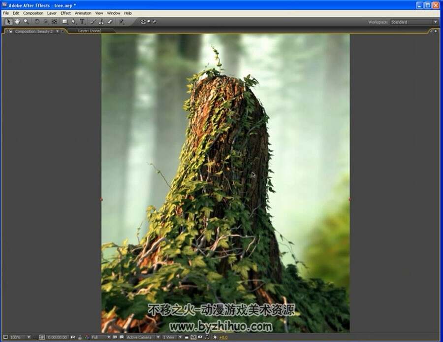 3DS MAX 逼真的树桩从建模到渲染视频教程