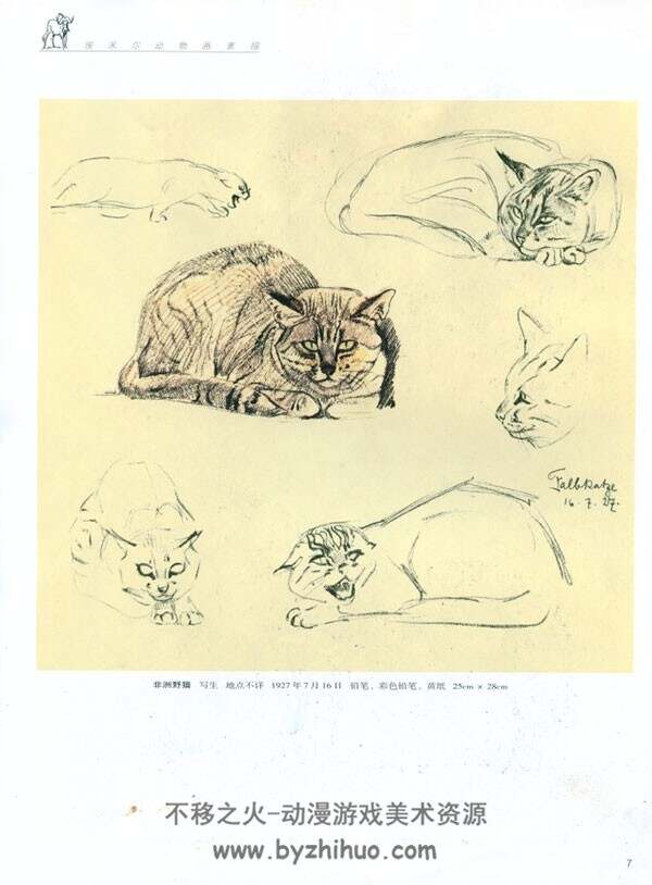 埃米尔动物 素描画集 115P
