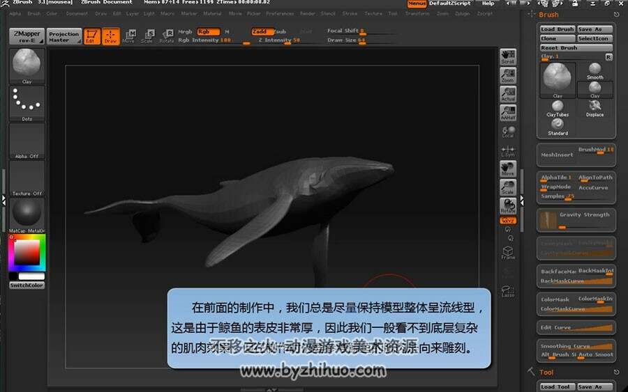 ZBrush 雕刻鲸鱼的视频教程
