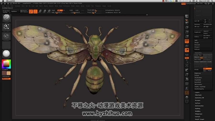 ZBrush 超逼真的昆虫视频教程
