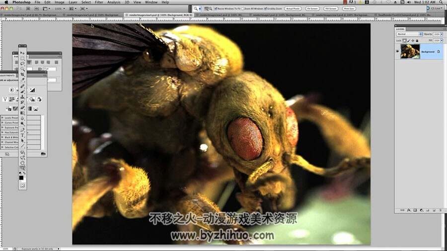 ZBrush 超逼真的昆虫视频教程