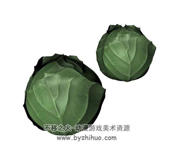 cabbage 甘蓝 C4D模型
