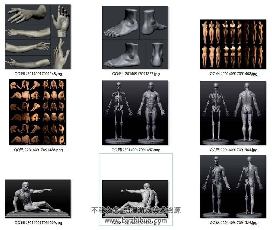 人体结构骨骼肌肉参考合集 44P