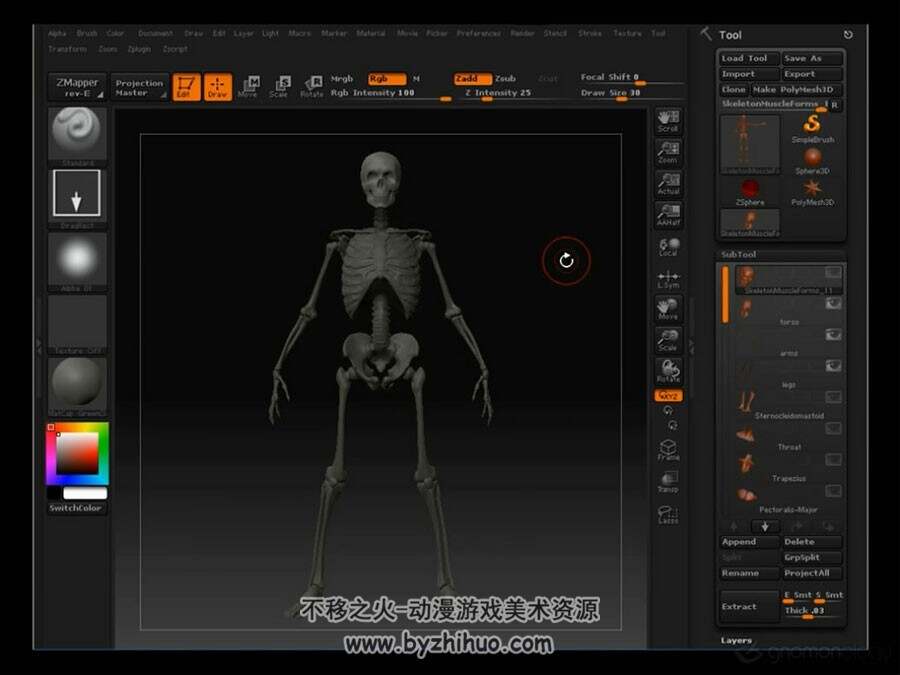 ZBrush 骨架肌肉解剖雕刻视频教程