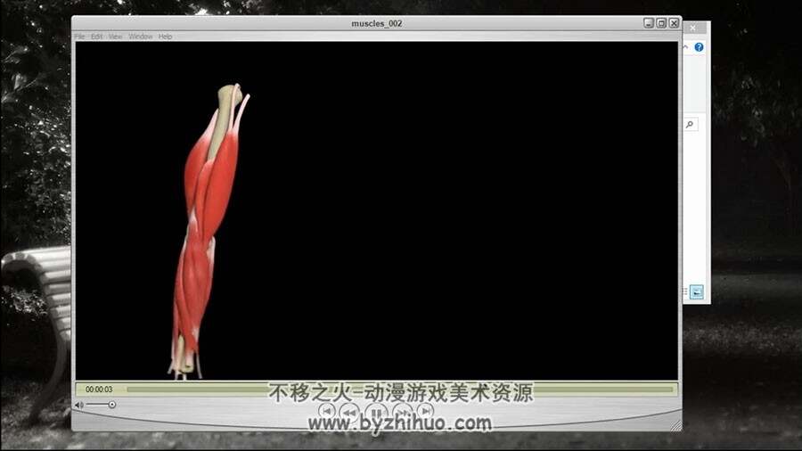 MAYA 手臂骨骼肌肉建模绑定动画视频教程