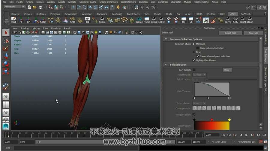 MAYA 手臂骨骼肌肉建模绑定动画视频教程