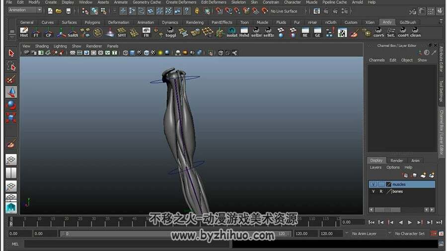 MAYA 手臂骨骼肌肉建模绑定动画视频教程
