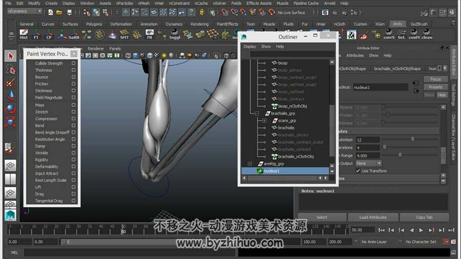 MAYA 手臂骨骼肌肉建模绑定动画视频教程