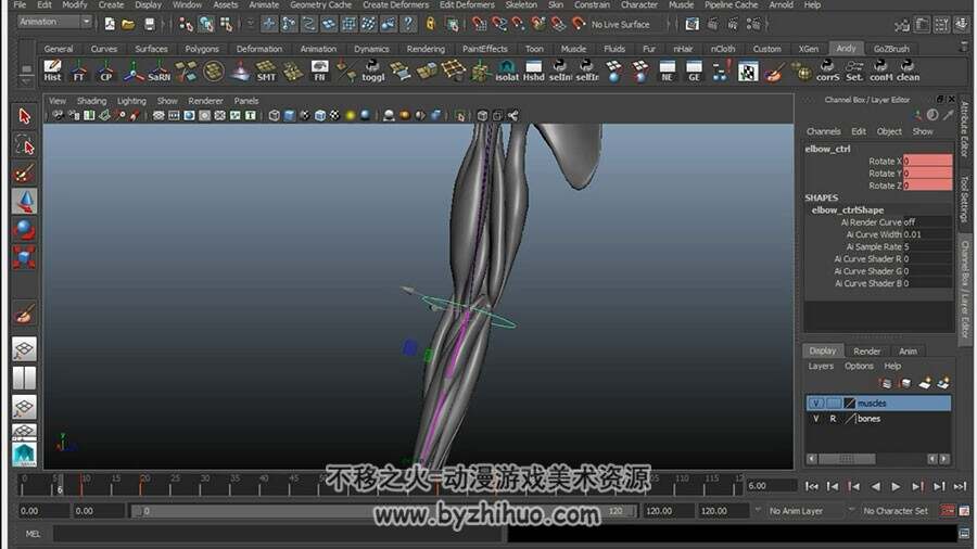 MAYA 手臂骨骼肌肉建模绑定动画视频教程