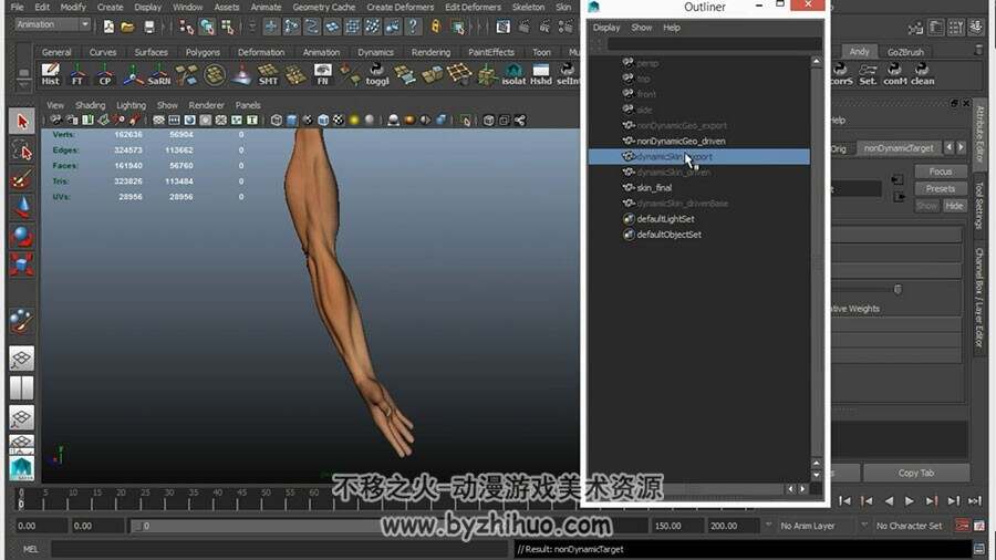 MAYA 手臂骨骼肌肉建模绑定动画视频教程