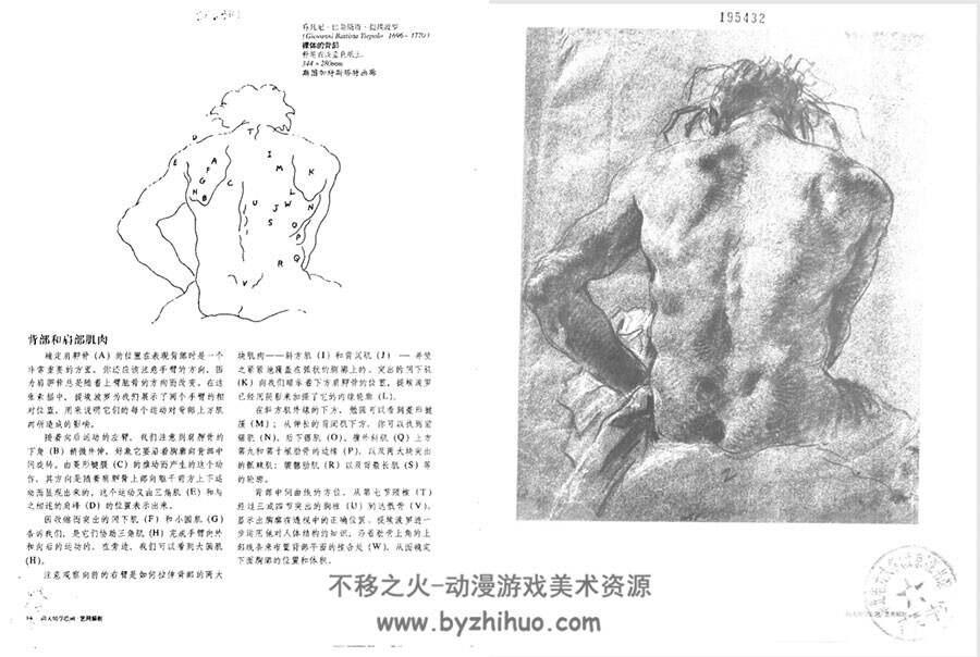向大师学绘画 艺用解剖 经典讲解教学