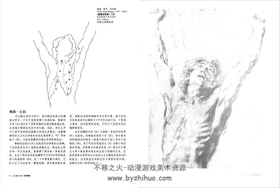 向大师学绘画 艺用解剖 经典讲解教学