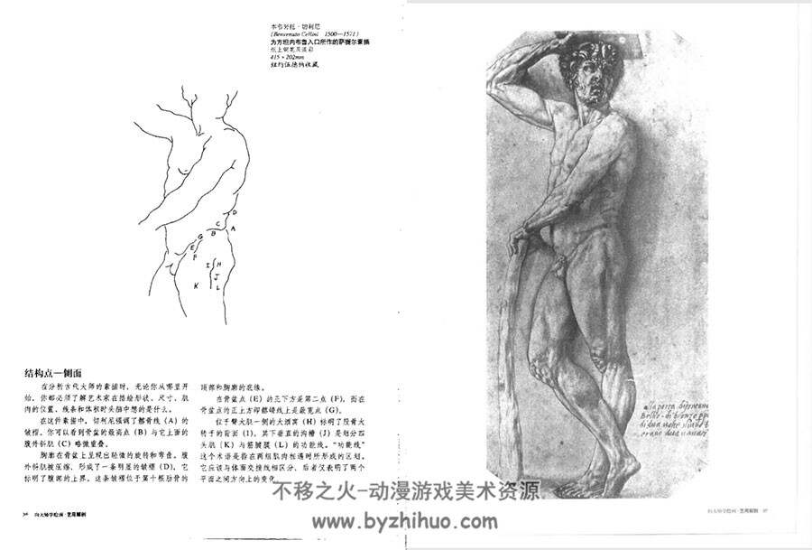 向大师学绘画 艺用解剖 经典讲解教学