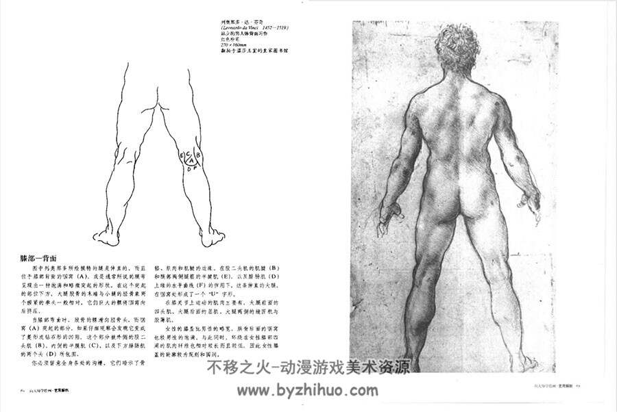 向大师学绘画 艺用解剖 经典讲解教学
