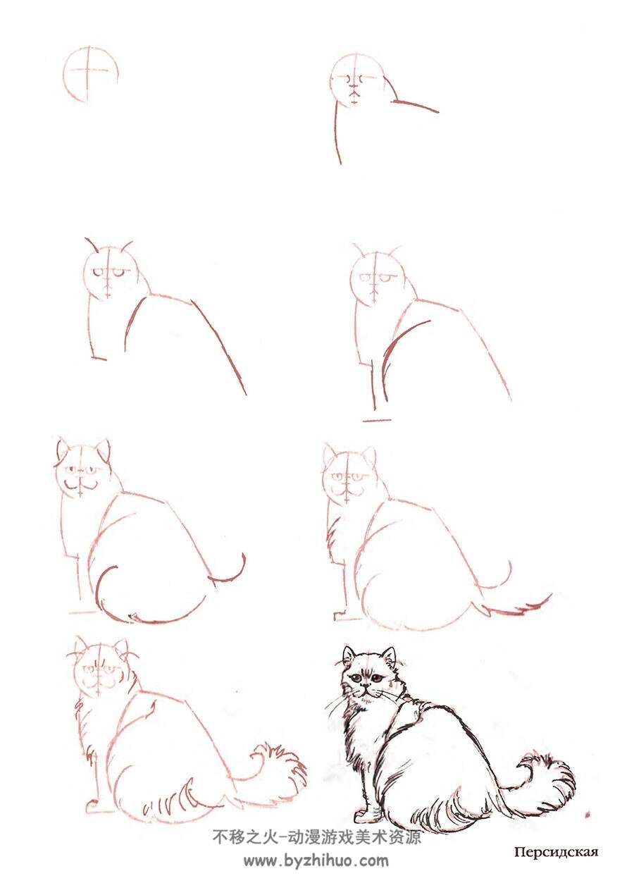 50种猫咪的的手绘方法