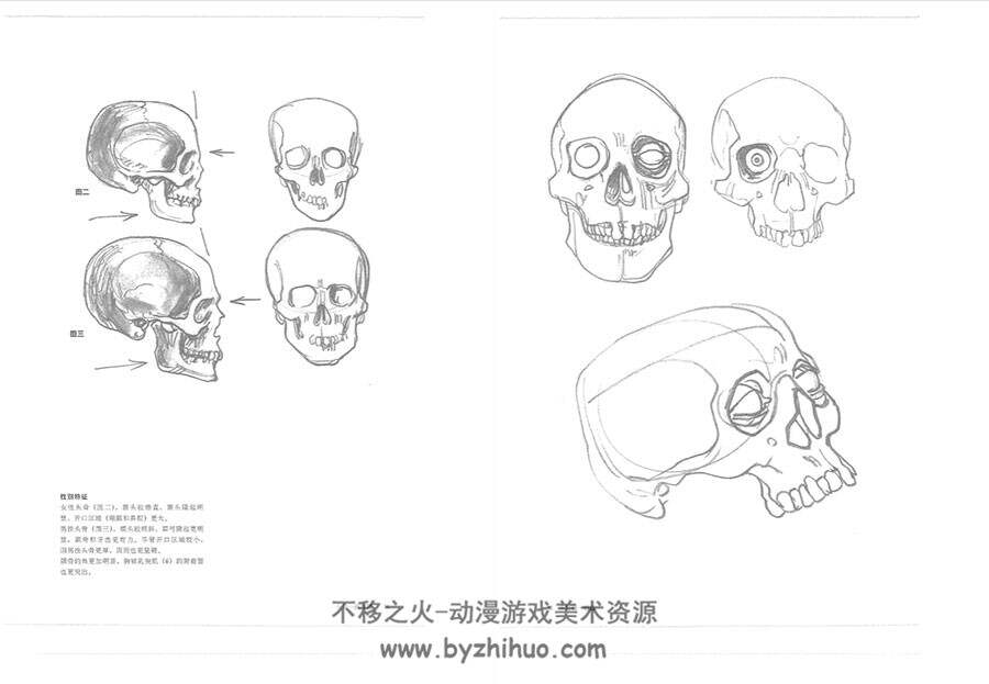 理解人体形态 实用素描解剖书 325P