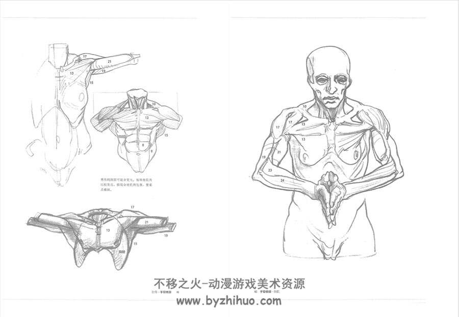 理解人体形态 实用素描解剖书 325P