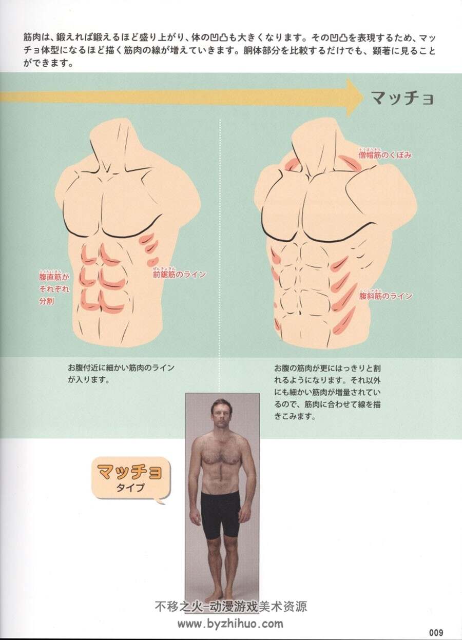 如何绘画男性肌肉的绘画技法 160P