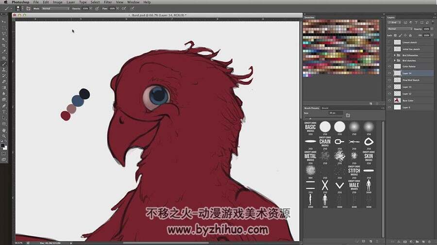 迪士尼卡通风红色鹦鹉绘制视频教程