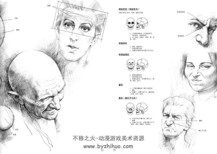 意大利 乔瓦尼·席瓦尔 人体解剖与素描 88P