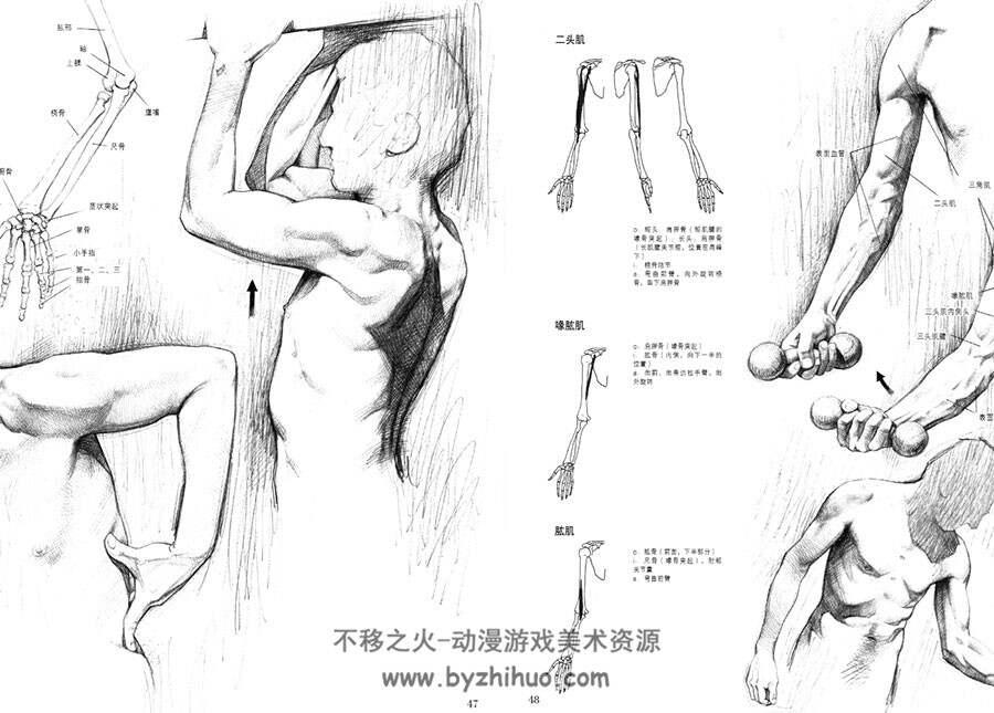 意大利 乔瓦尼·席瓦尔 人体解剖与素描 88P