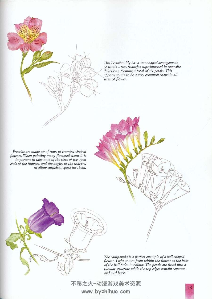 水彩花卉彩绘教程 教材手工书 130P