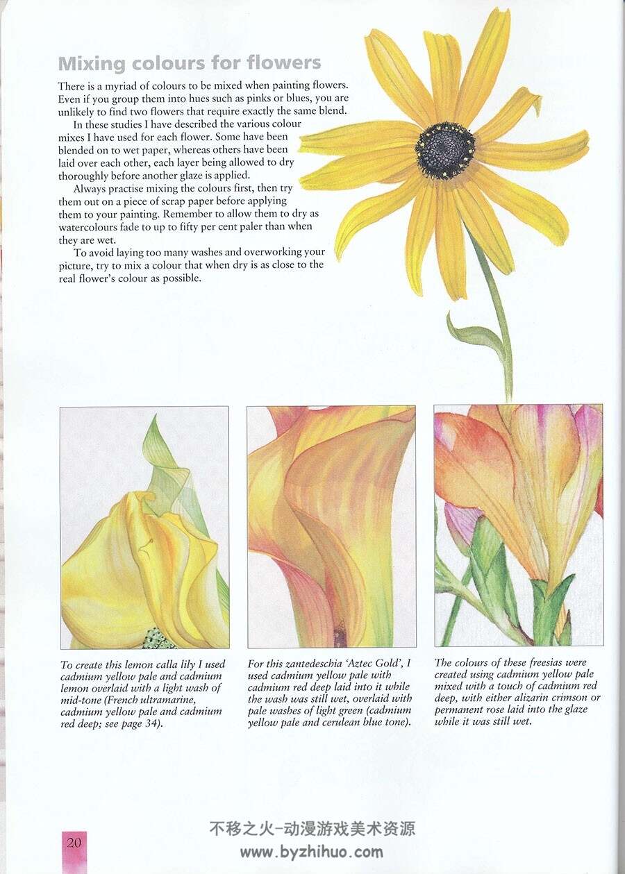 水彩花卉彩绘教程 教材手工书 130P