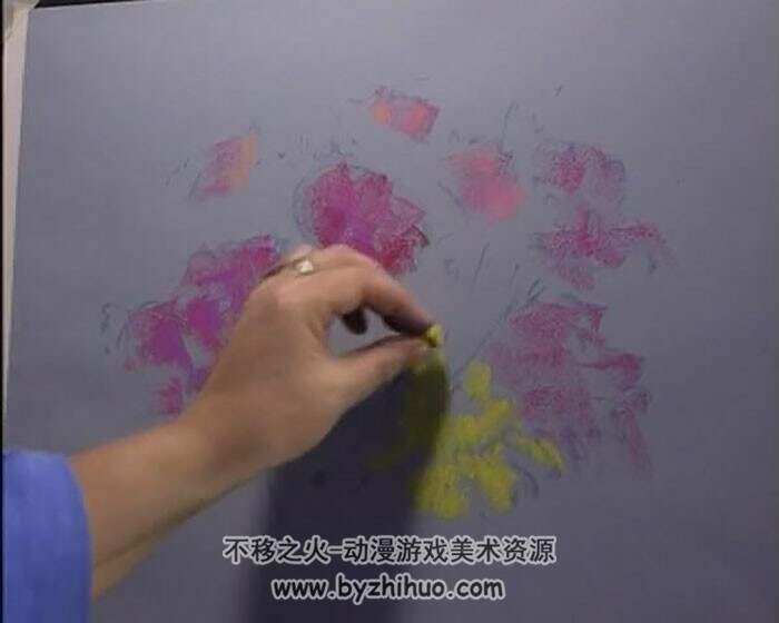 外国讲师 粉彩鲜花绘画教学视频