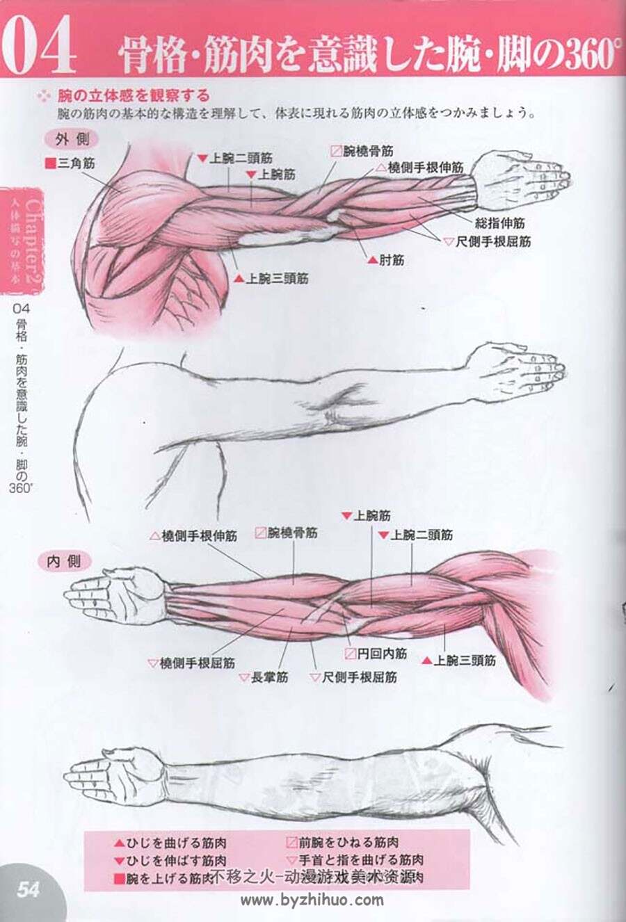 人体基础绘画教程 动态骨骼肌肉线稿资料素材  192P