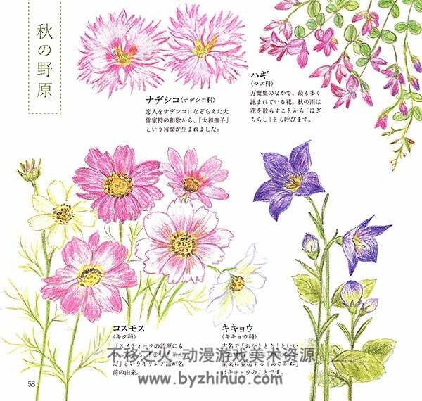 彩色铅笔植物花卉绘本 可爱的花和草木们 111P