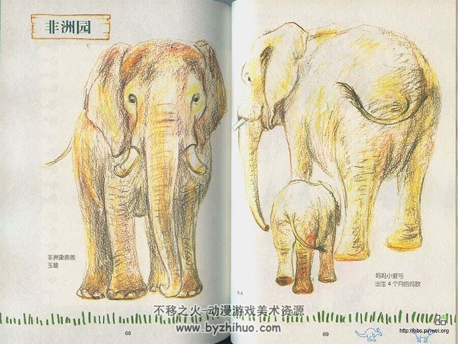 手绘卡通动物教程 彩色铅笔的动物日记 64P