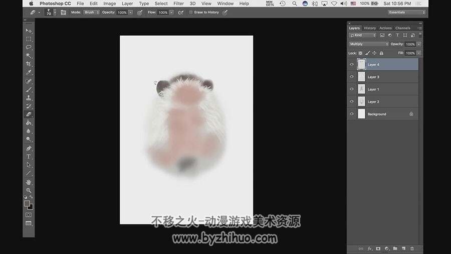 水彩风格CG插画  8种飞禽走兽的绘制视频教程 附PSD文件