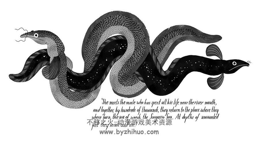 西班牙插画师 julia sarda 卡通角色插画欣赏集 49P