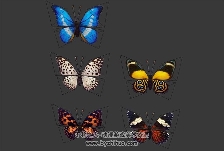 五只蝴蝶 3D模型