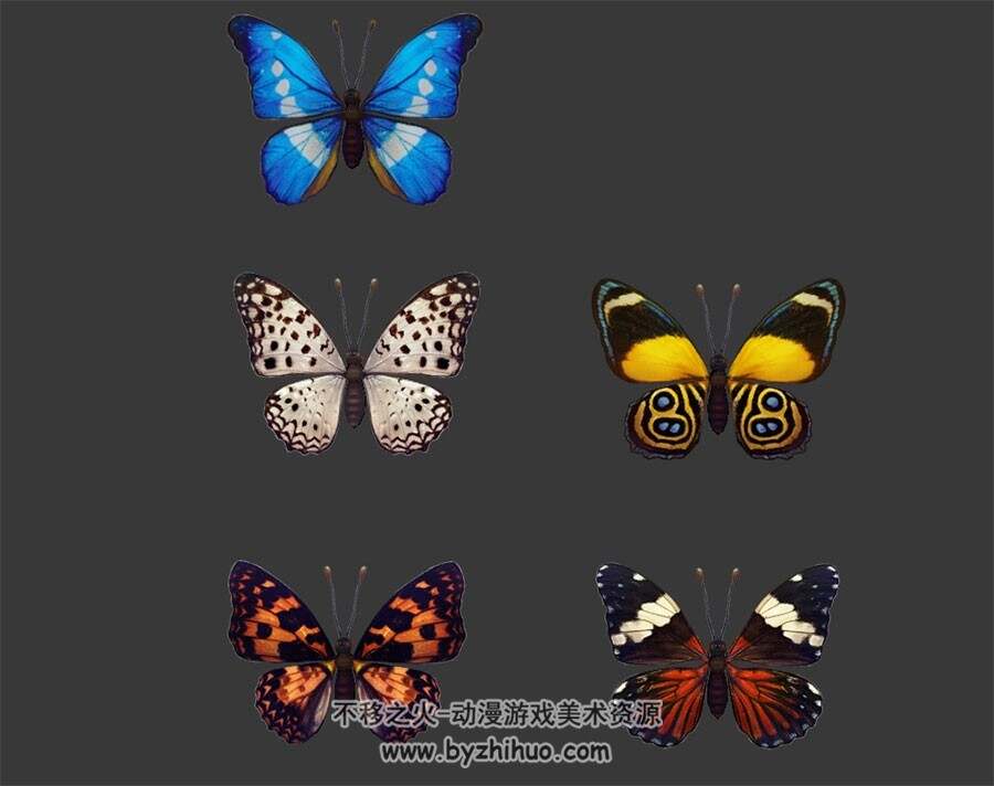五只蝴蝶 3D模型