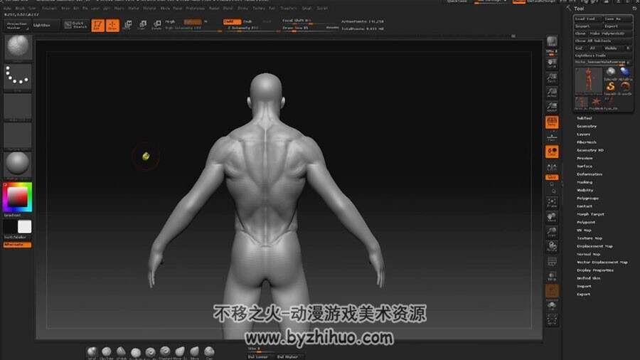 Zbrush 人体解剖之身体肌肉雕刻视频教程